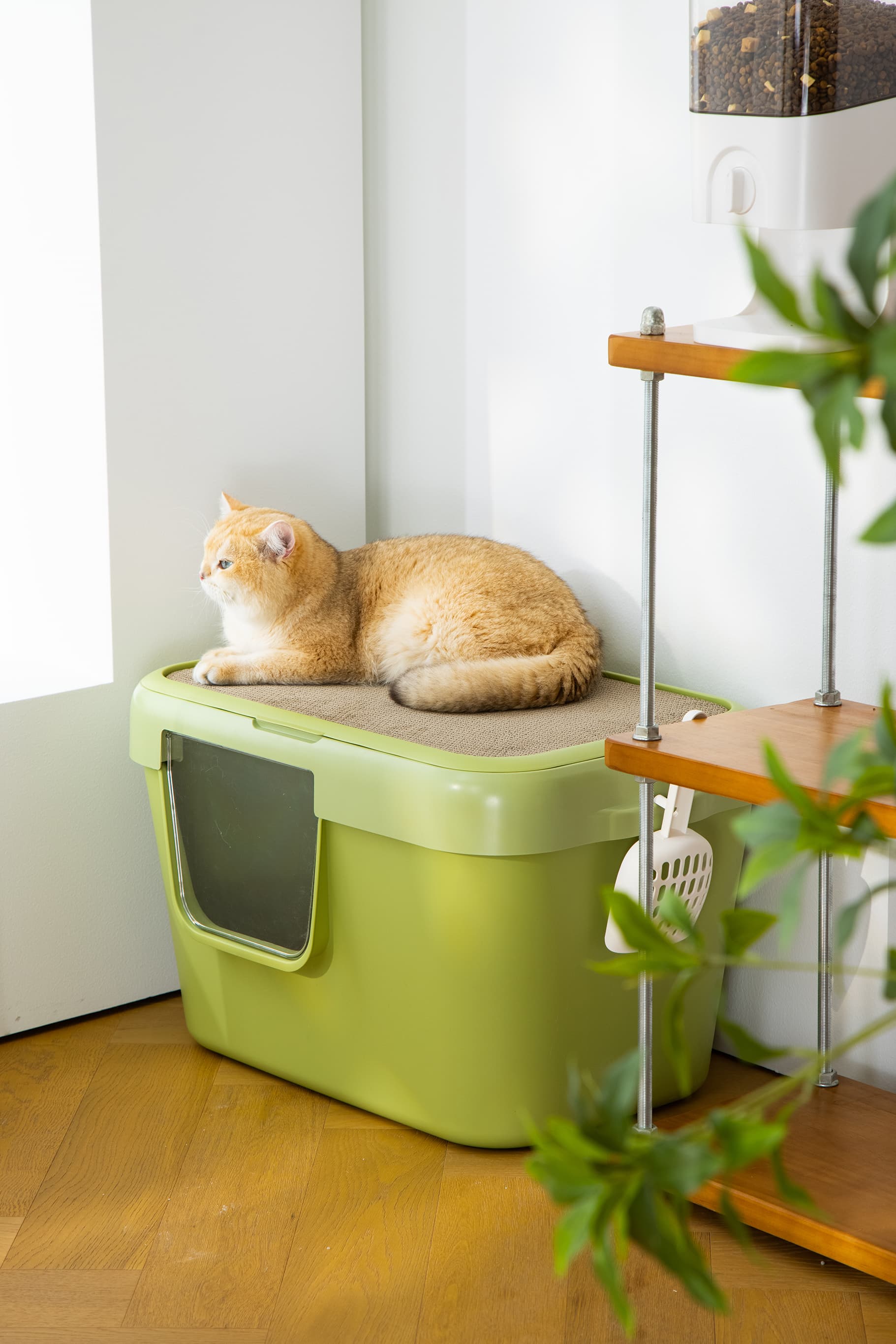 Cat litter box set (with cratching post) 