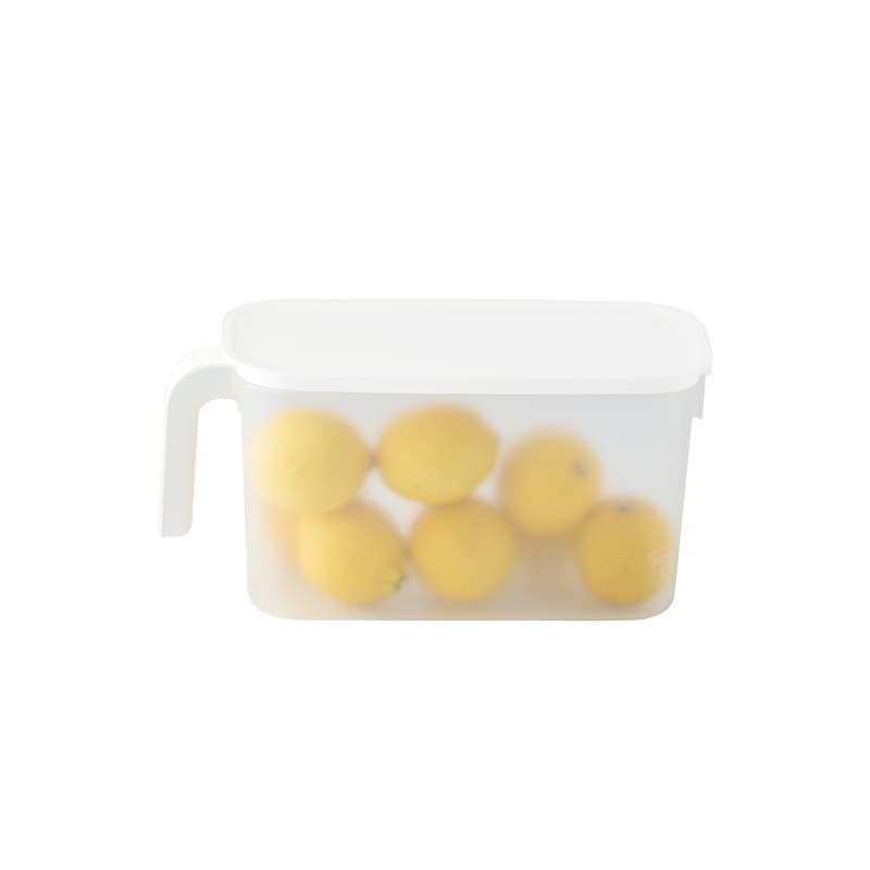 Fridge Storage Container